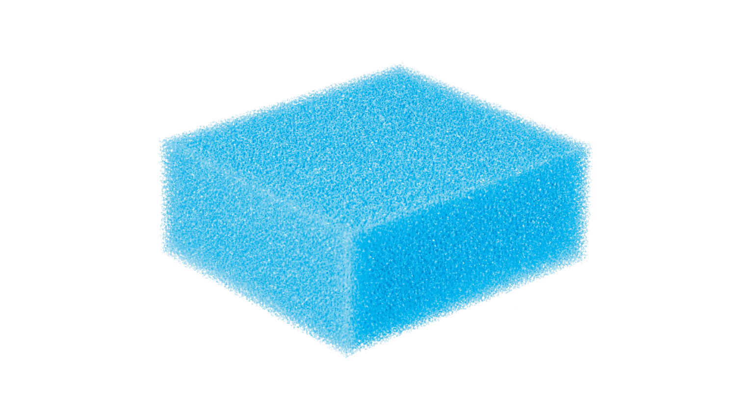 Replacement blue filter foam for Biosmarts