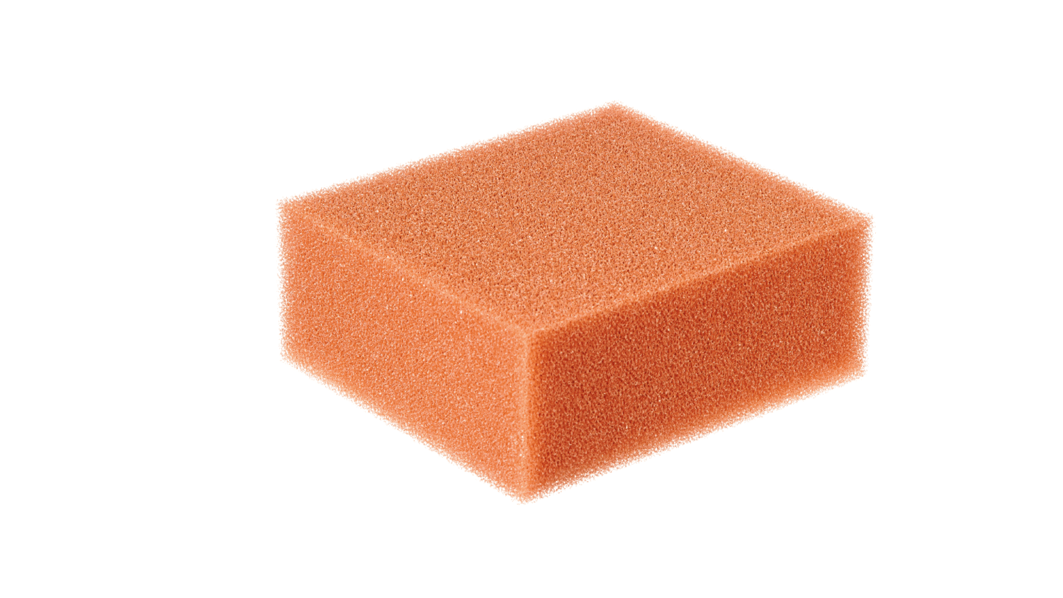 Replacement Red foam for BIosmart 5000- 16000