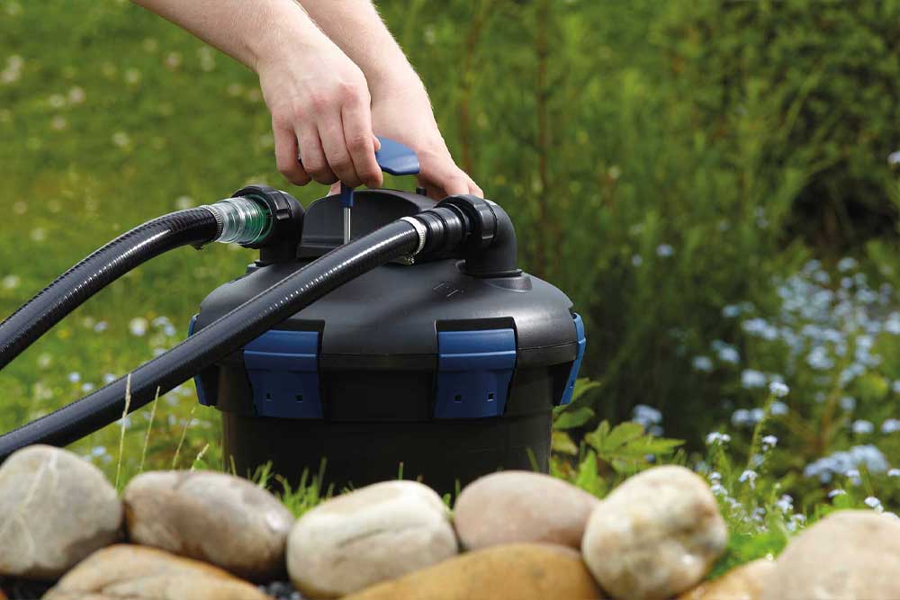 Do I need a pond filter?